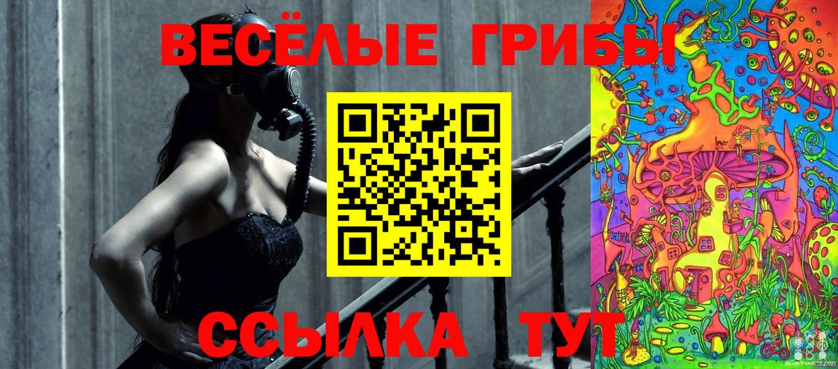 Верхняя Салда  Галлюциногенные грибы Cubensis  Вход с VPN 